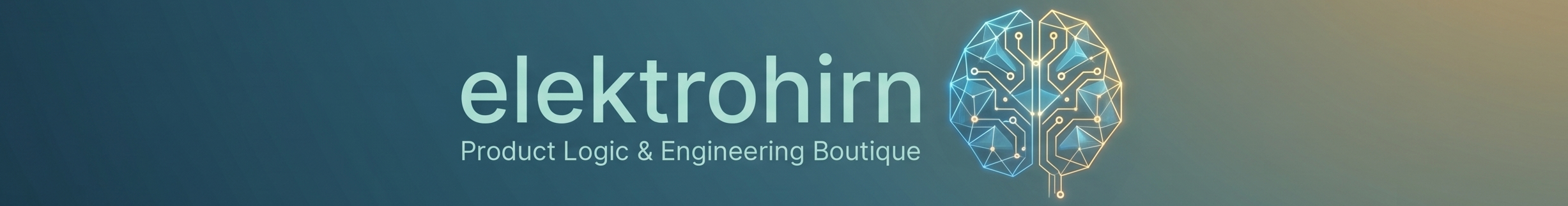 elektrohirn – Product Logic & Engineering Boutique